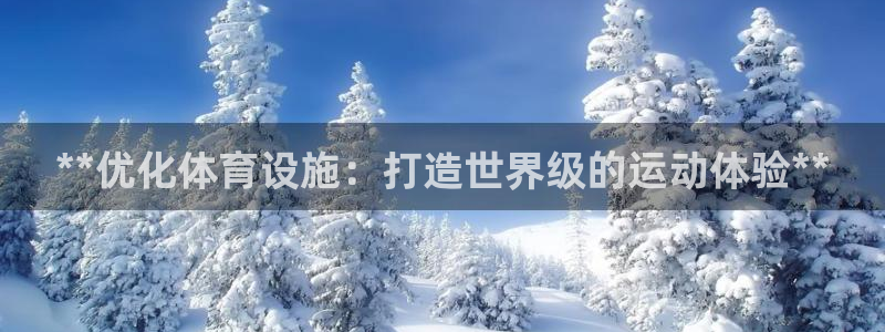 意昂3集团：**优化体育设施：打造世界级的运动体验*