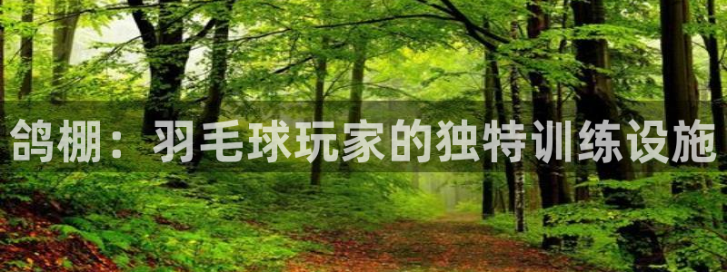 意昂体育3招商电话地址查询：鸽棚：羽毛球玩家的独特训