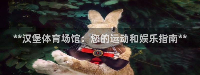 意昂3娱乐代理怎么样：**汉堡体育场馆：您的运动和娱