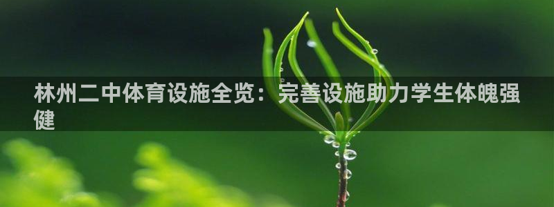 意昂体育3招商电话地址是多少：林州二中体育设施全览：
