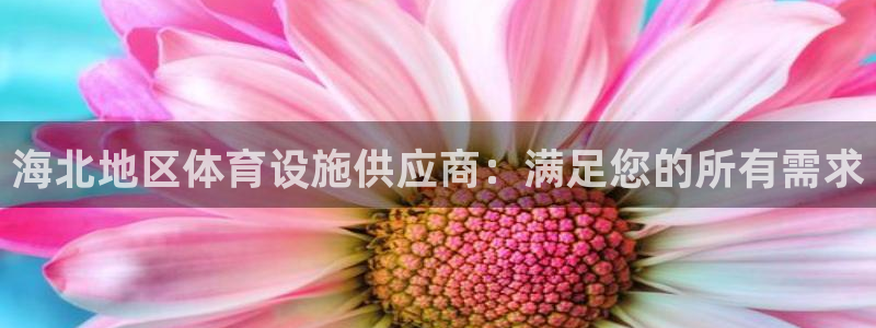意昂体育3平台是正规平台吗：海北地区体育设施供应商：