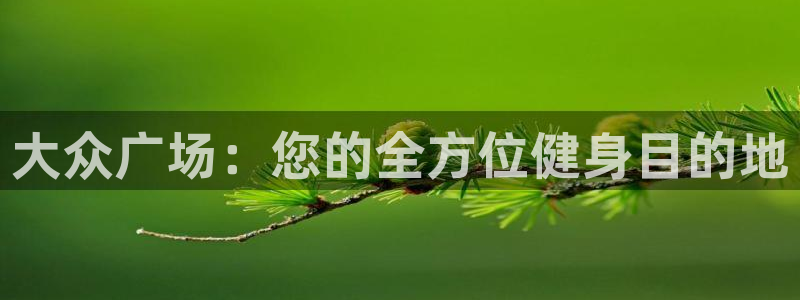 意昂体育3平台注册流程图：大众广场：您的全方位健身目