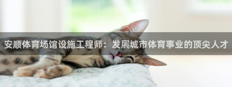 意昂3代理：安顺体育场馆设施工程师：发展城市体育事业
