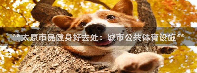 意昂体育3平台注册要钱吗安全吗：**太原市民健身好去