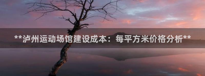 意昂3科技：**泸州运动场馆建设成本：每平方米价格分