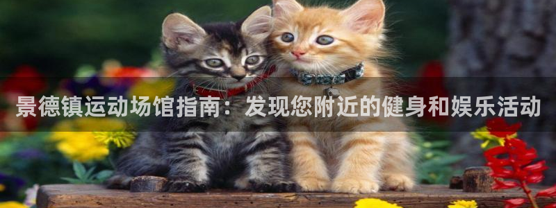 意昂平台体育：景德镇运动场馆指南：发现您附近的健身和