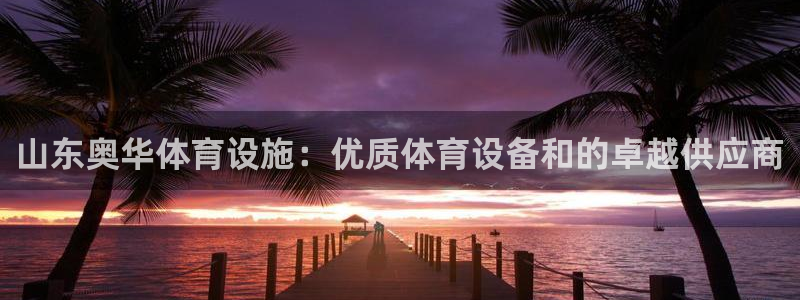 意昂体育3软件：山东奥华体育设施：优质体育设备和的卓