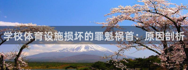 意昂体育3平台假的吗是真的吗：学校体育设施损坏的罪魁