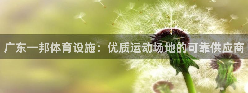 意昂3官方：广东一邦体育设施：优质运动场地的可靠供应
