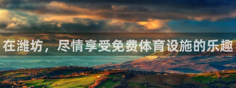 意昂体育3平台APP：在潍坊，尽情享受免费体育设施的