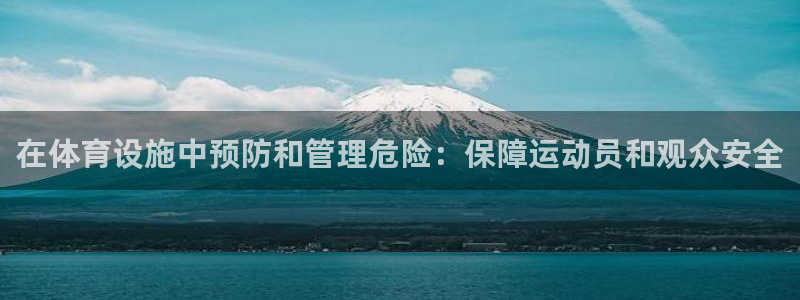 海南意昂体育3发展怎么样：在体育设施中预防和管理危险