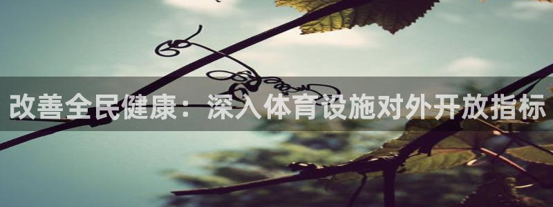 海南意昂体育3发展怎么样：改善全民健康：深入体育设施