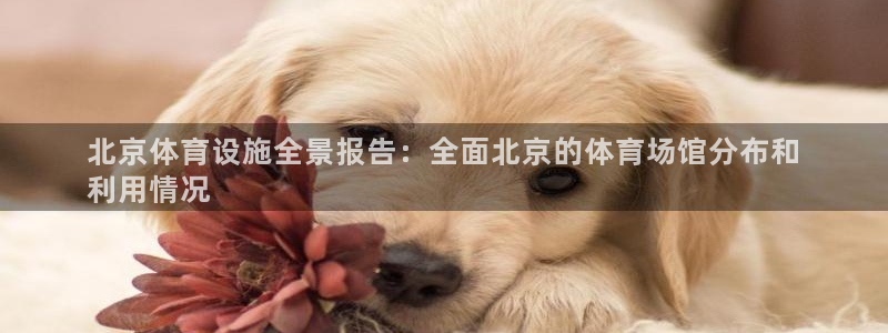 意昂体育3招商电话是多少啊：北京体育设施全景报告：全