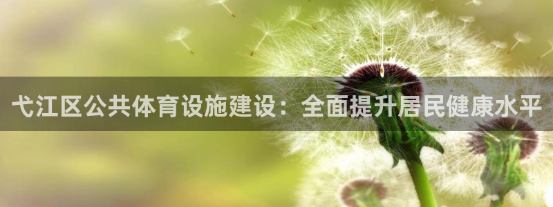 意昂3集团logo：弋江区公共体育设施建设：全面提升