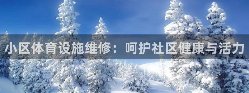 意昂体育3平台假的吗是真的吗：小区体育设施维修：呵护
