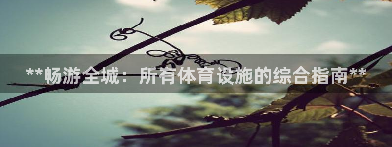 意昂3娱乐网站：**畅游全城：所有体育设施的综合指南