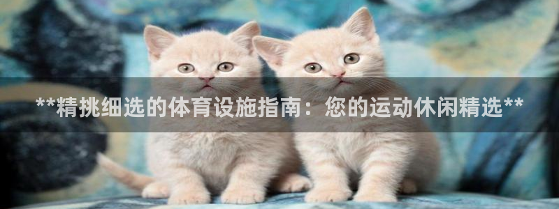 意昂体育3平台APP：**精挑细选的体育设施指南：您