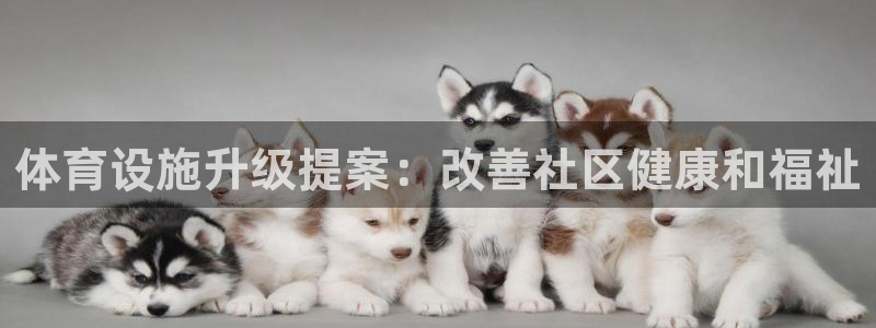 意昂体育3招商电话是多少号码：体育设施升级提案：改善
