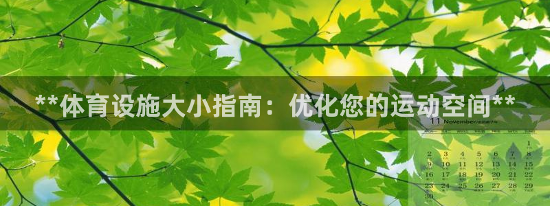 意昂3娱乐首页官网下载：**体育设施大小指南：优化您