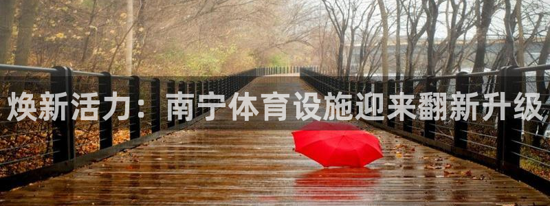 意昂3娱乐平台：焕新活力：南宁体育设施迎来翻新升级