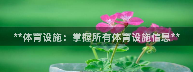 意昂体育3联系电话：**体育设施：掌握所有体育设施信