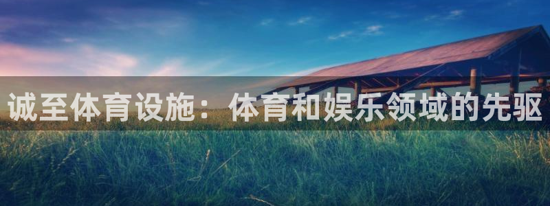 意昂体育3平台注册要钱吗：诚至体育设施：体育和娱乐领
