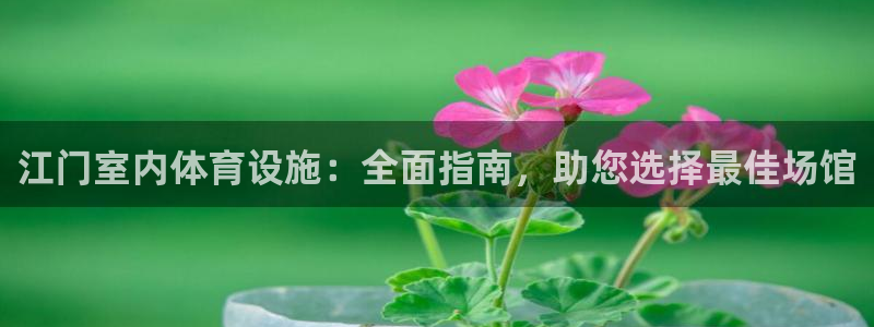 意昂体育3平台注册：江门室内体育设施：全面指南，助您