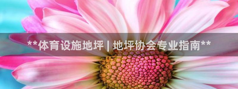 意昂体育3平台是正规平台吗知乎：**体育设施地坪 |