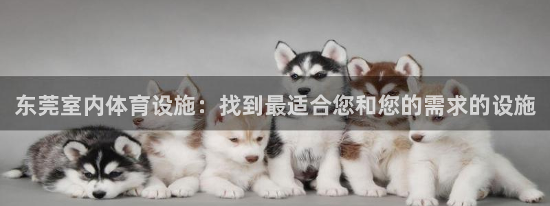 意昂体育3软件：东莞室内体育设施：找到最适合您和您的
