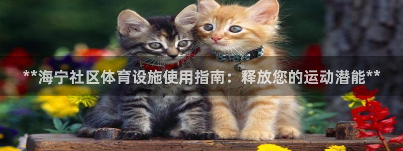 意昂3集团logo：**海宁社区体育设施使用指南：释