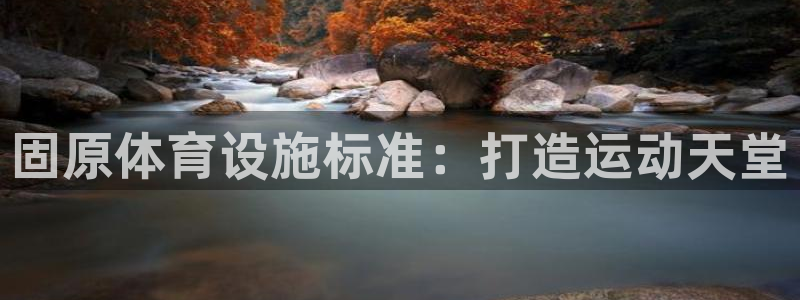 意昂体育3软件：固原体育设施标准：打造运动天堂