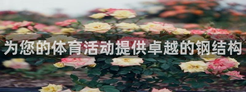 意昂体育3招商：为您的体育活动提供卓越的钢结构