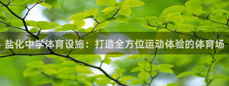 意昂3娱乐：盐化中学体育设施：打造全方位运动体验的体