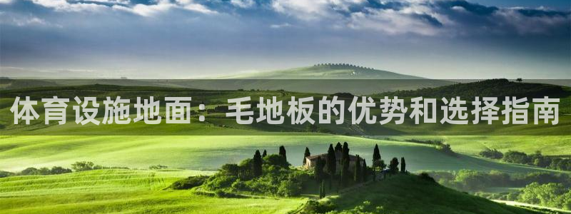 意昂3集团logo：体育设施地面：毛地板的优势和选择
