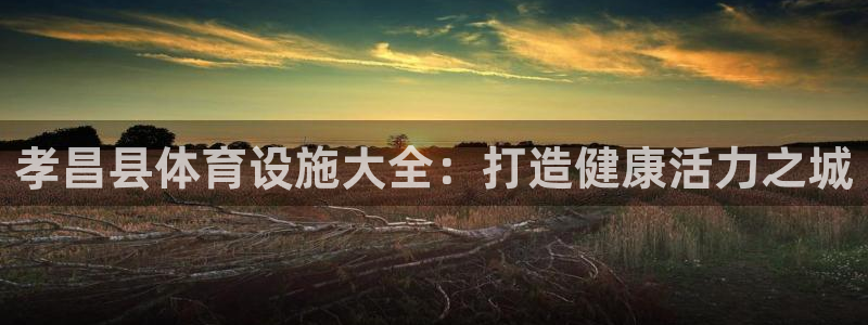 意昂体育3招商电话号码是多少啊：孝昌县体育设施大全：