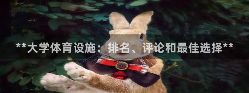 意昂3科技：**大学体育设施：排名、评论和最佳选择*