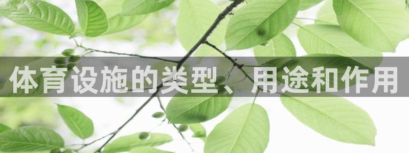 意昂体育3：体育设施的类型、用途和作用