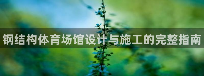 意昂体育3平台注册要钱吗安全吗：钢结构体育场馆设计与