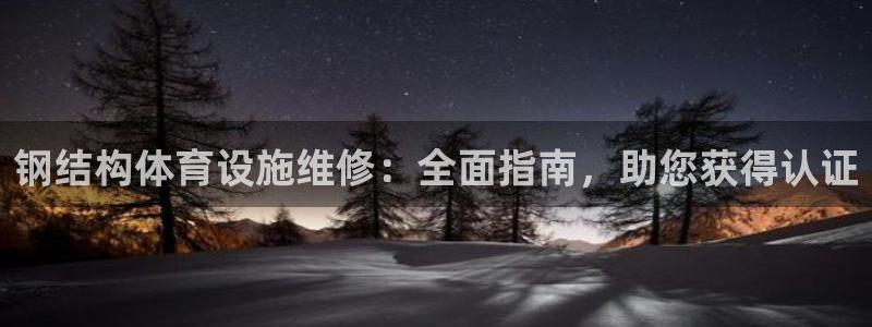 意昂3集团logo：钢结构体育设施维修：全面指南，助