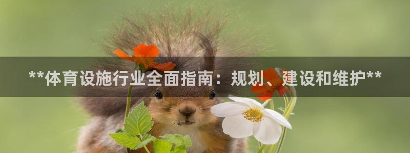 意昂3神州：**体育设施行业全面指南：规划、建设和维
