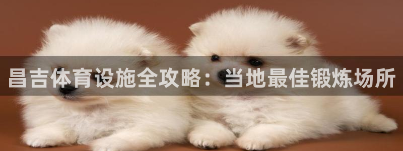 意昂体育3平台是正规平台吗安全吗：昌吉体育设施全攻略
