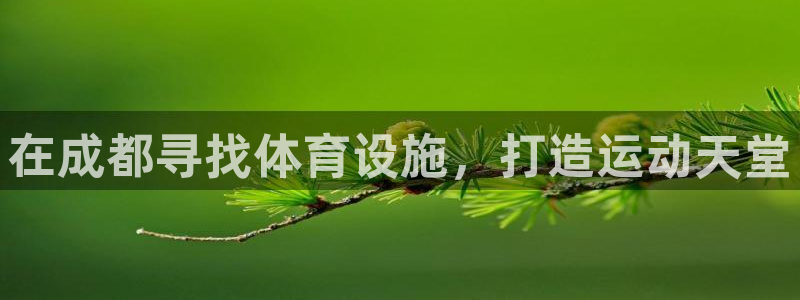 意昂体育3：在成都寻找体育设施，打造运动天堂