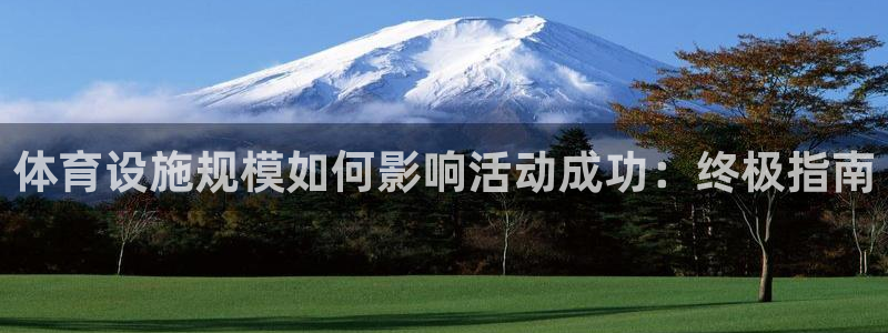 意昂体育3平台注册流程视频：体育设施规模如何影响活动