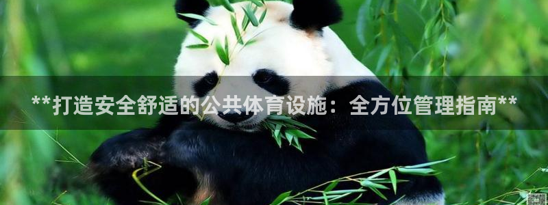 意昂体育3平台注册流程图：**打造安全舒适的公共体育