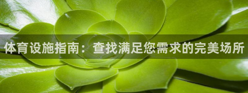 海南意昂体育3：体育设施指南：查找满足您需求的完美场