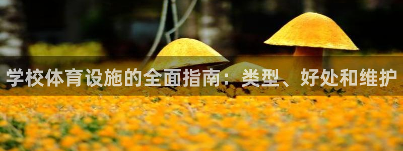 意昂3集团官网首页网址：学校体育设施的全面指南：类型
