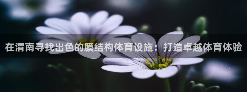 意昂体育3招商：在渭南寻找出色的膜结构体育设施：打造