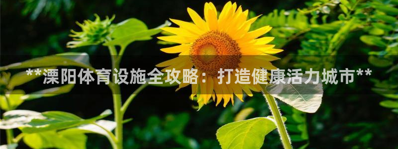 意昂体育3平台注册要钱吗：**溧阳体育设施全攻略：打