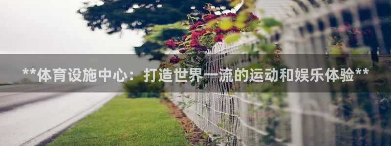 意昂3娱乐代理怎么样：**体育设施中心：打造世界一流