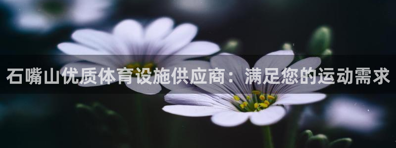 意昂体育3平台APP：石嘴山优质体育设施供应商：满足